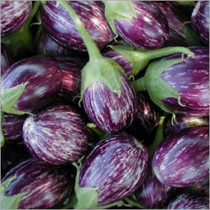 Brinjal