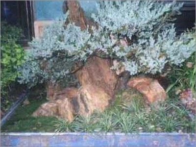 Arbors