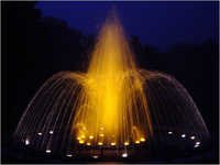Reverse Crown Fountains