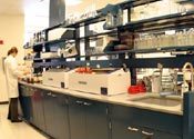 Laboratory Testing Services