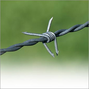 Galvanized Barbed Wire