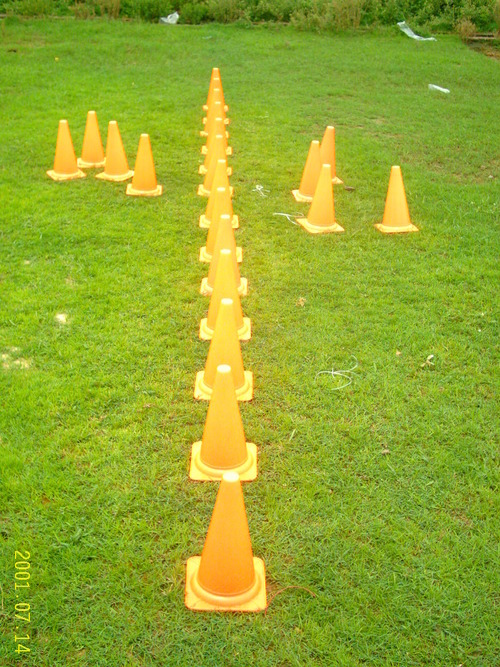 Cone Hurdles