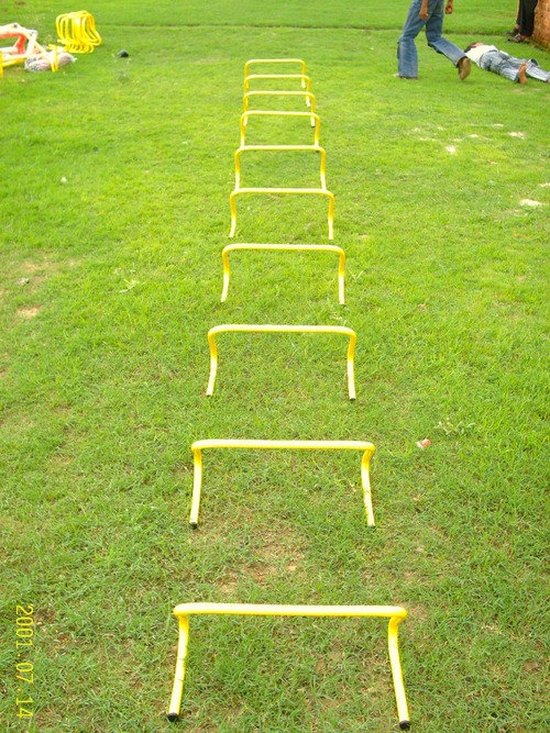 Agility Hurdle