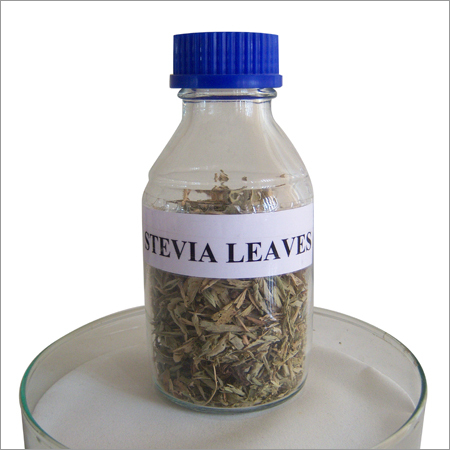 Stevia Leaves