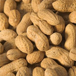 Ground Nuts