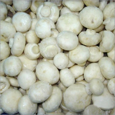 Frozen Champignons Mushroom