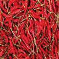 Dry red chillies