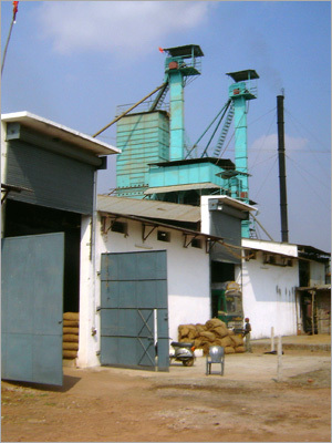 Parboiled Rice Plant