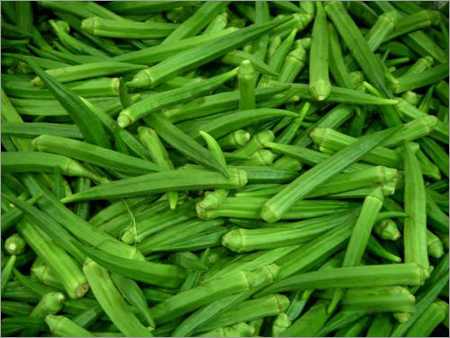 Okra Lady Finger