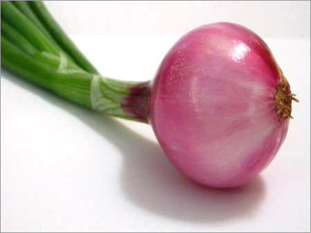 Fresh Onion