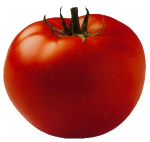 Fresh Tomato