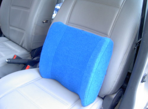 Back Support Cushion