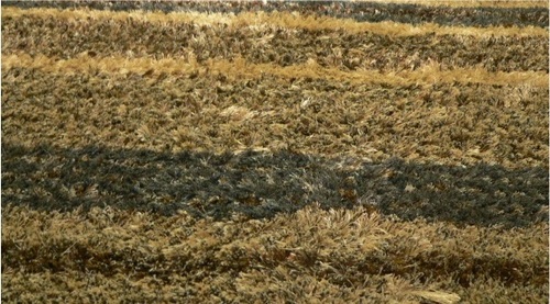 Shaggy Carpet Cords - Polyester, 5-15mm Thickness, Beige, Twisted | Soft Texture, Durable, Customizable
