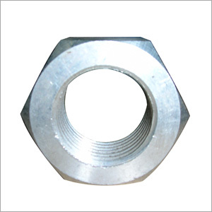 Hex Nut Stainless Steel