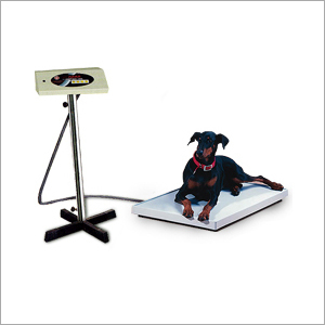 Animal Weighing Scale