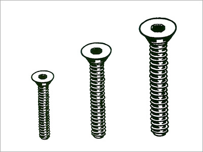 Ss Socket Screws