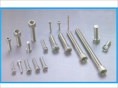 Ss Hexagonal Cap Screws