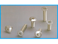 Stainless Steel Security Bolts