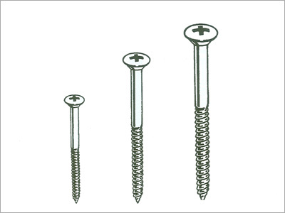 Ss Wood Screw