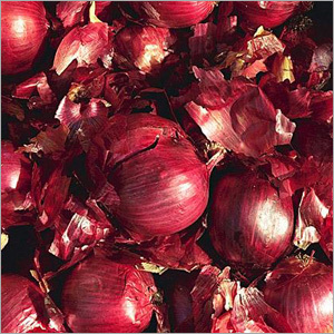 Red Onion