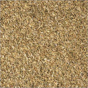 Dill Seeds(Spices)