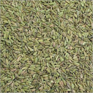 Fennel Seeds (Spices)