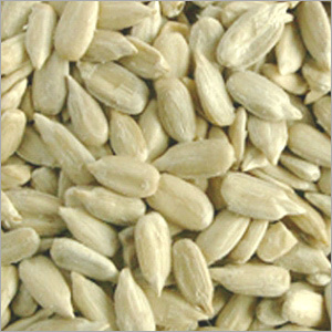 Indian Sunflower Seeds
