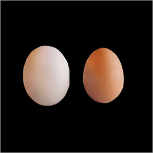 Duck Eggs