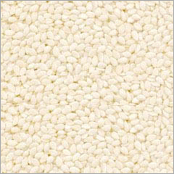 Hulled White Sesame Seed