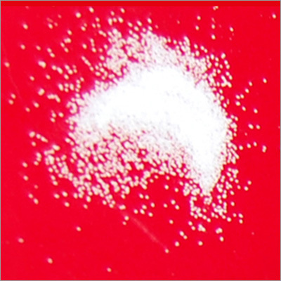 Bone Graft Granules
