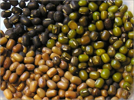 Whole Pulses