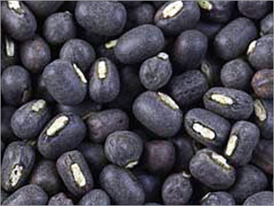 Black Urad Dal