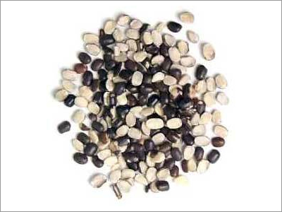 Whole Pulses