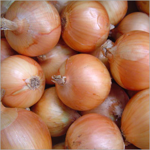 Fresh Onions
