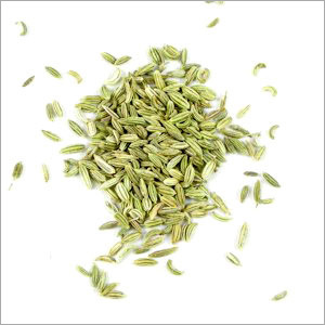 Fennel Seed Oil