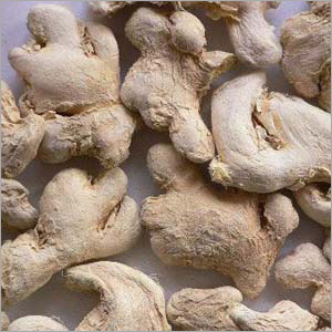 Essential Oil of Ginger