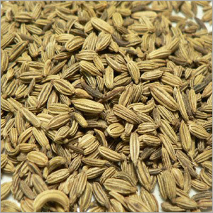 Fennel Seeds