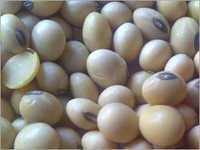 Soybean Seeds