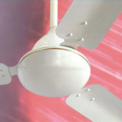 Portable Ceiling Fans