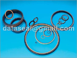 PTFE Fluid Seals