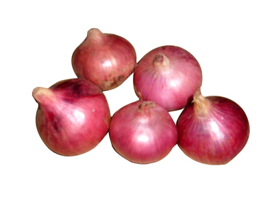 Onion