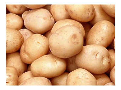 Potato - Russet Variety, Beige Color, Variable Size | Fresh, Nutritious, Versatile, Tasty, Bulk Packaging