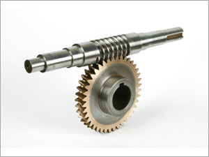 Worm & Worm Wheel