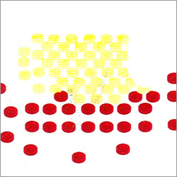 Central Nervous System
