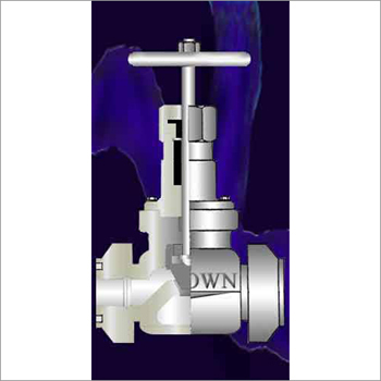Globe Valve
