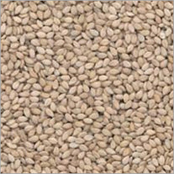 Natural Sesame Seeds