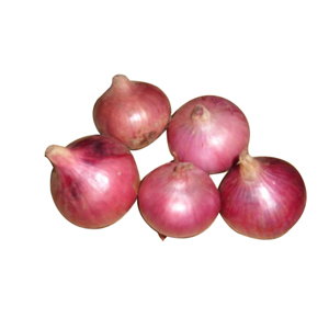 Onion