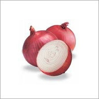 Fresh Red Onion