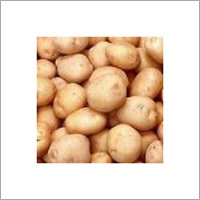 Potato