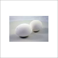 Fertilized Chicken Eggs